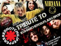 24 ,  - Tribute to Nirvana